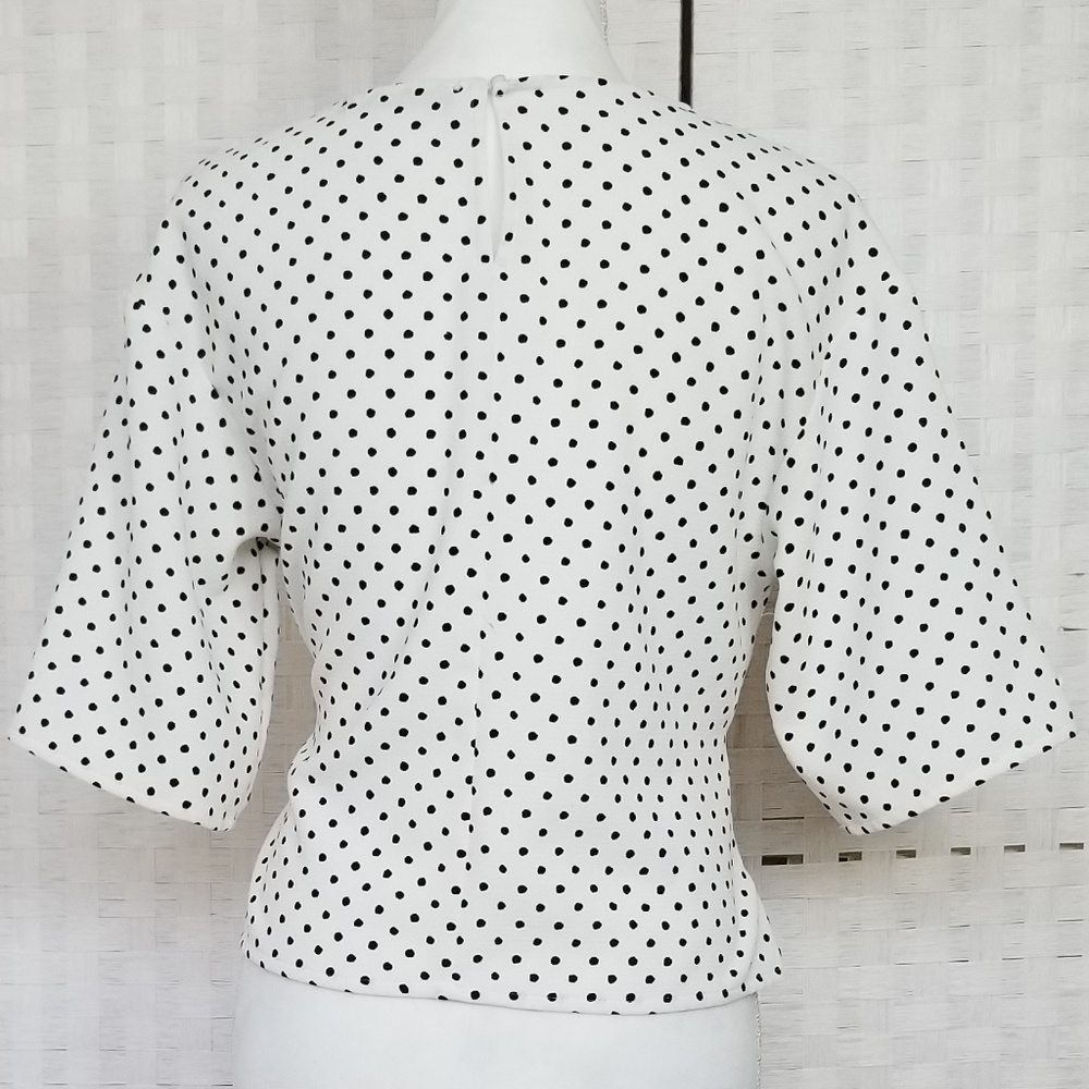 Zara Basic Collection Polka Dot Blouse - image 3